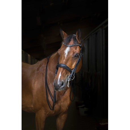 Cabezada HYBRID Weymouth - Eric Thomas para equitación