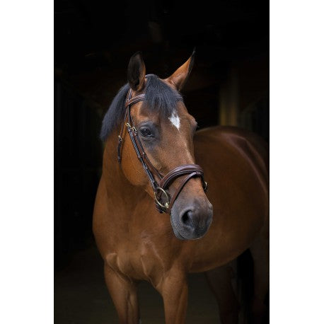 Cabezada PRO - Onda - Eric Thomas para equitación