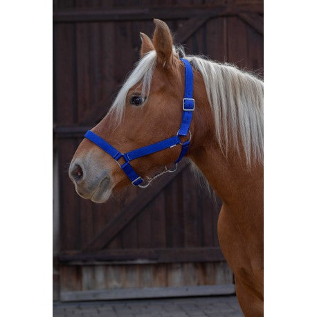 Cabezada para caballo de tiro - Norton