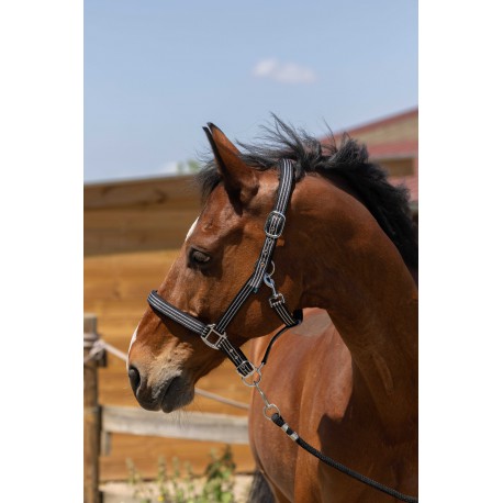 Cabezada - Zari - Norton para equitación