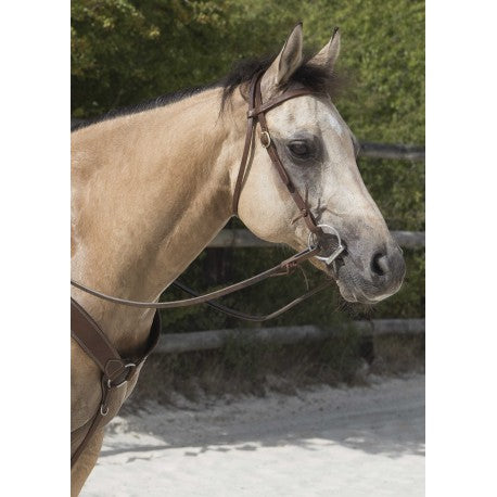 Cabezada WESTRIDE de - Colorado - Franck Perret para equitación