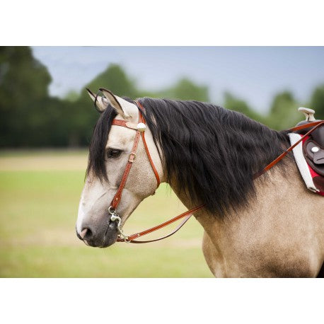 Cabezada - Dos Tonos - Westride para equitación