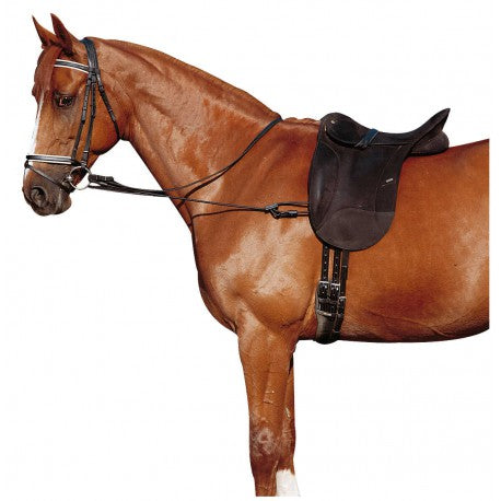 Accesorio ecuestre Chambón elástico ajustable - Norton para equitación
