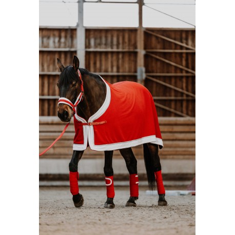 Accesorio ecuestre Chemise - Xmas - Equithème para equitación