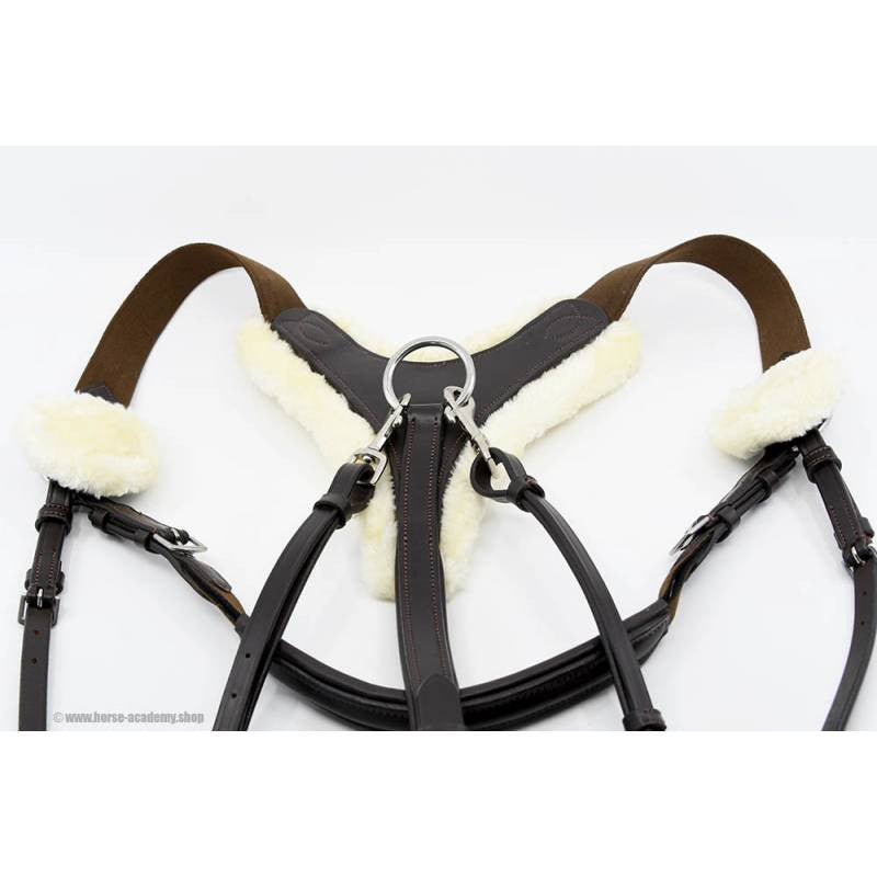 Pechopetral Cambridge HKM-Rincón del Valle