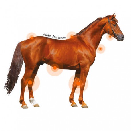 Accesorio ecuestre Crema - DERFEN™ Clear - Animaderm para equitación - vista 6
