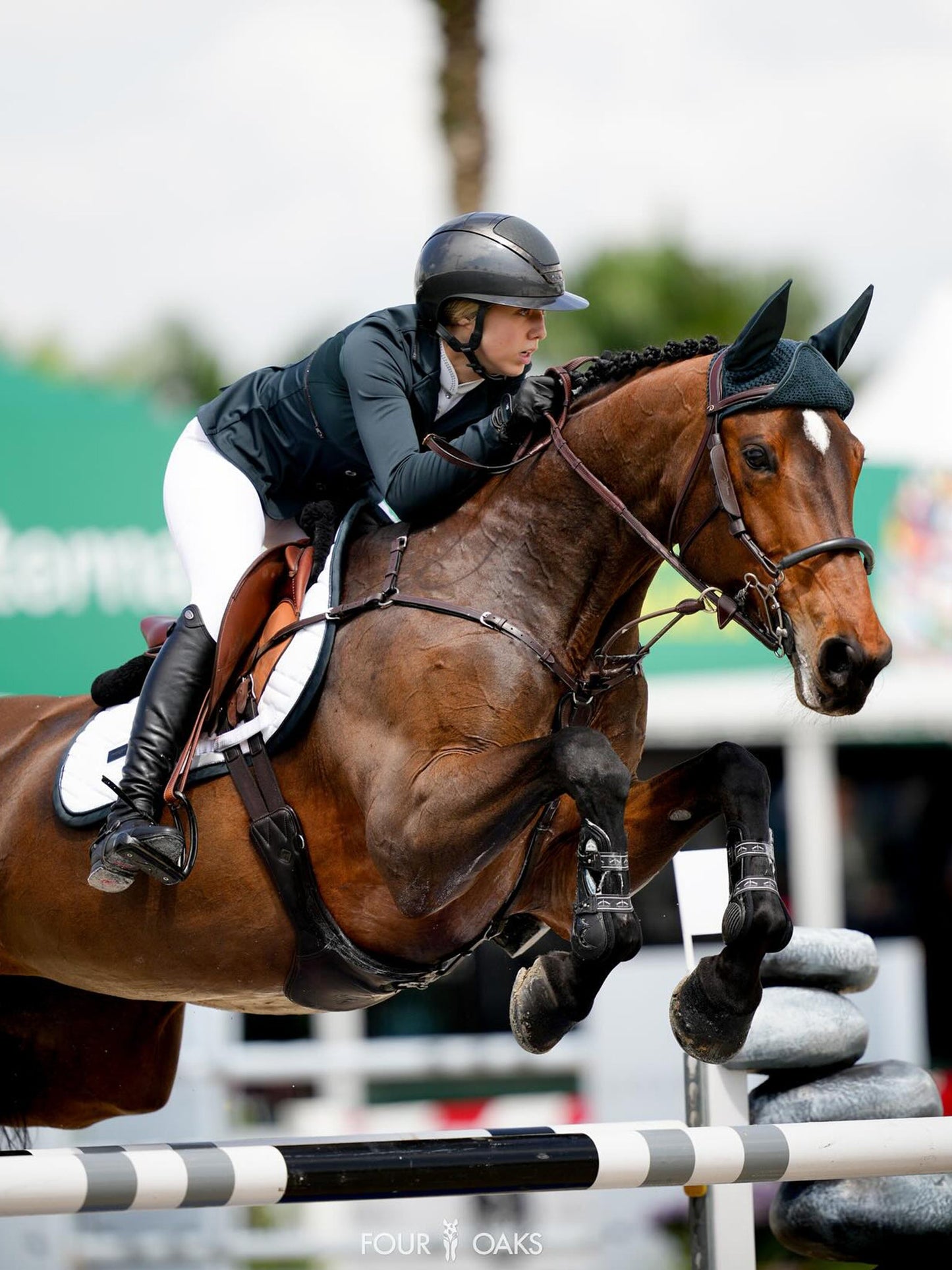 Select Competition Jacket Equestrian Stockholm Select Competition Jacket detalle 8