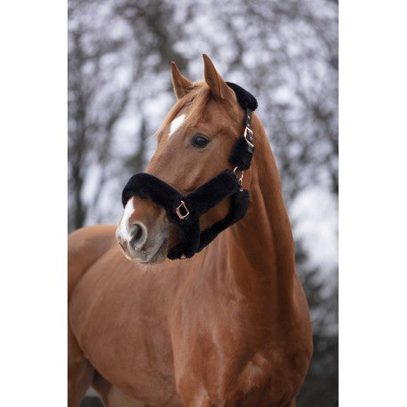 Cabezadas Cabestro - Teddy oro rosa - Equithème para equitación - vista 2