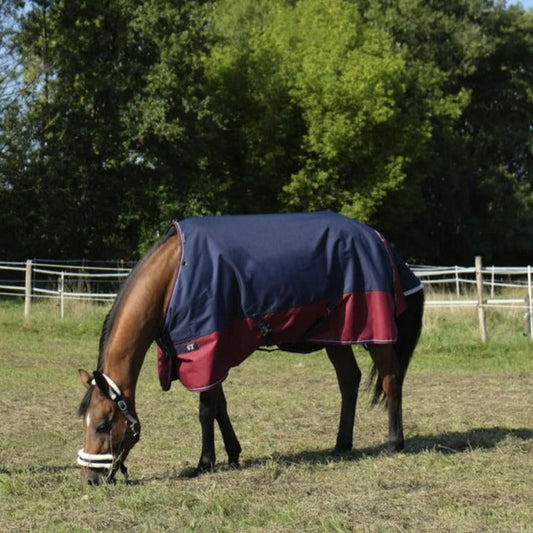 Manta para caballo Equi-Theme Tyrex 1200D Turnout manta para equitación - vista 2