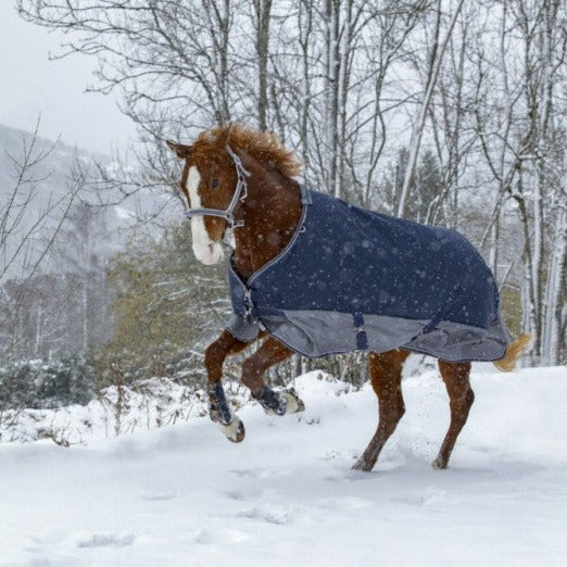 Manta para caballo Equi-Theme Tyrex 600D Turnout manta para equitación - vista 2
