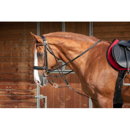 Accesorio ecuestre Gogue con poleas PRO - Norton para equitación - vista 2