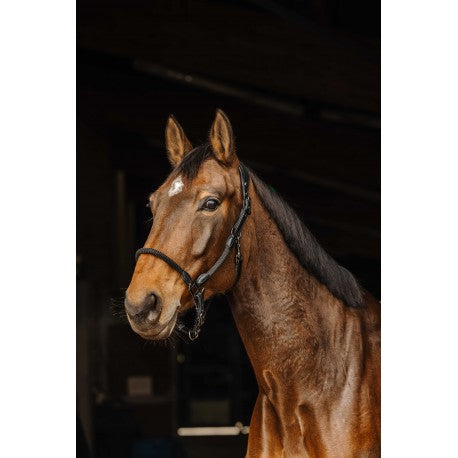 Cabezadas Halter de cuero/cuerda - Norton para equitación