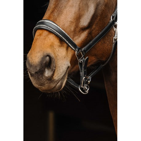Halter de cuero PRO - Rock - Norton