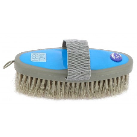 Antimicrobiano - Cepillo suave - Hippotonic para equitación