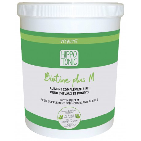 Cascos Biotina plus M - Hippotonic - T.M para equitación