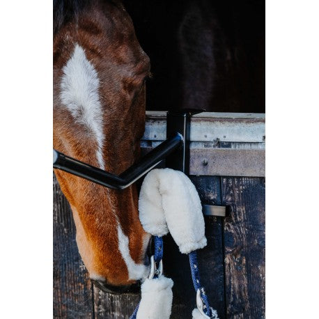 Accesorio ecuestre Portasillas portátil - Hippotonic para equitación - vista 6