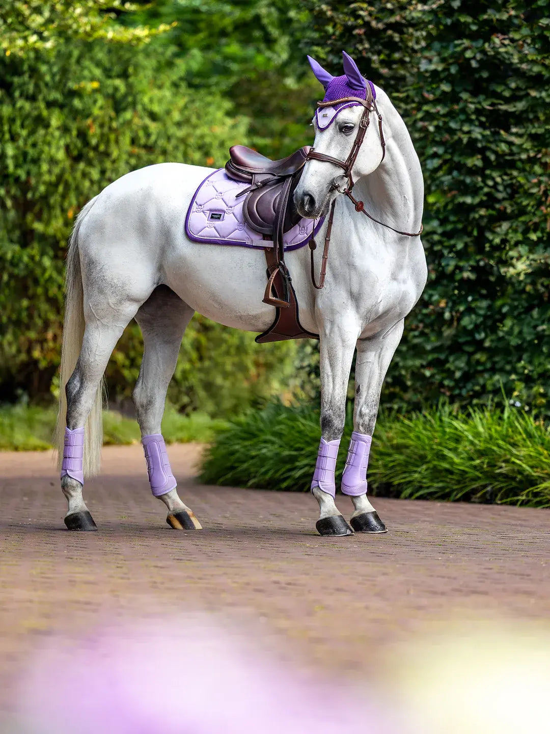 Mantilla Salto Lavender - Equestrian Stockholm
