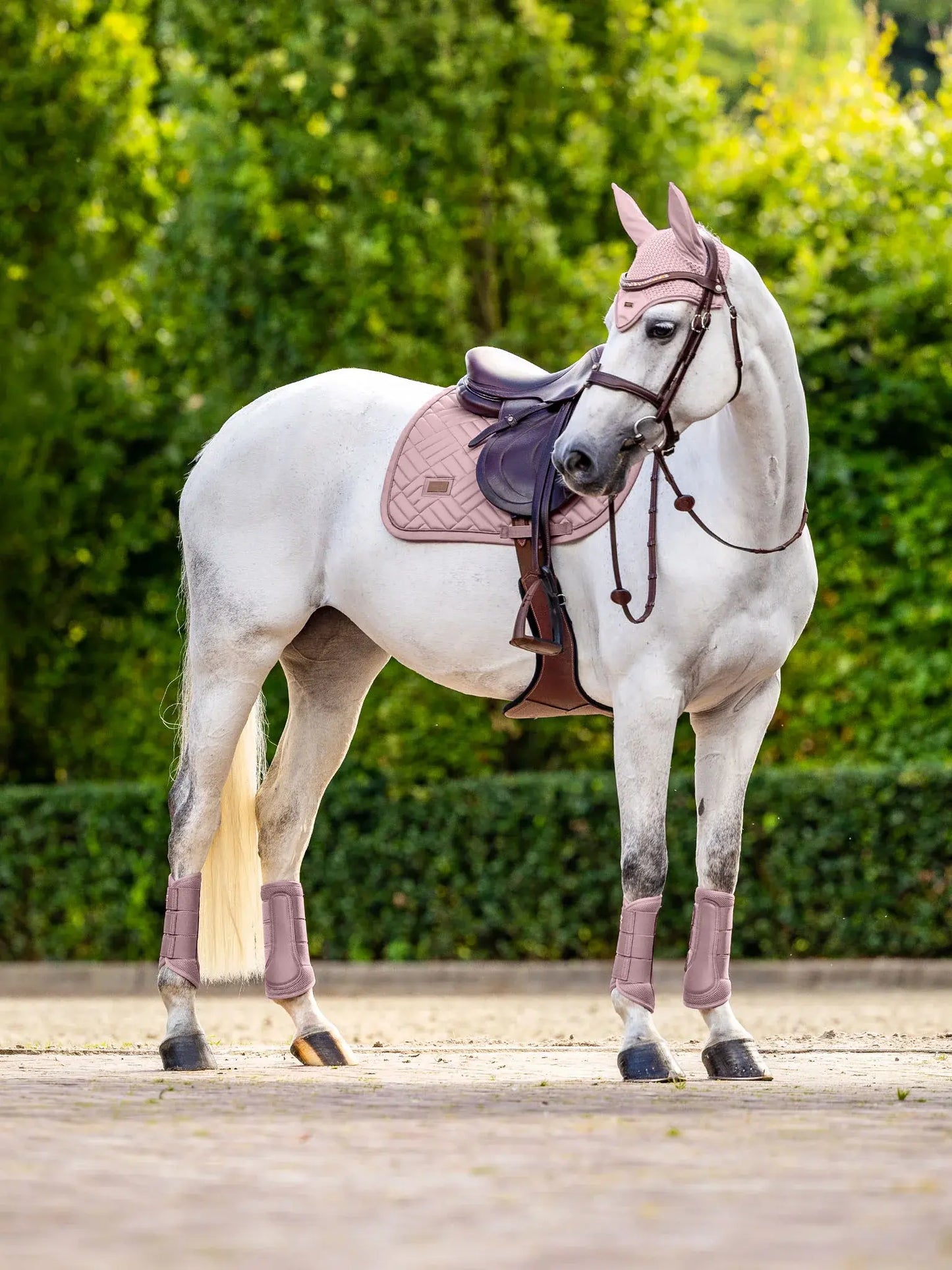 Protectores Doma Mesh Midsummer Blush - Equestrian Stockholm