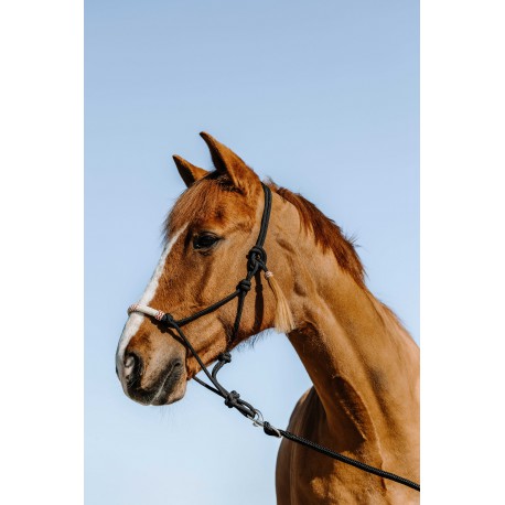 Cabezadas Licol éthologique - Western - Westride para equitación - vista 2