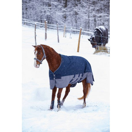 Manta - TYREX 600D - Belly belt - Equithème para equitación - vista 6