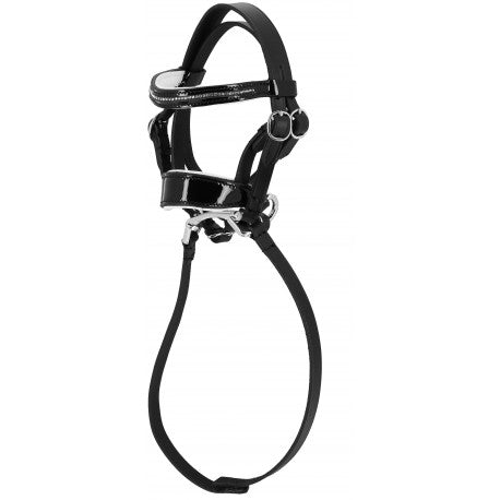 Accesorio ecuestre Mini-idon PONY ACADEMY - Strass - Br - T.Pony para equitación