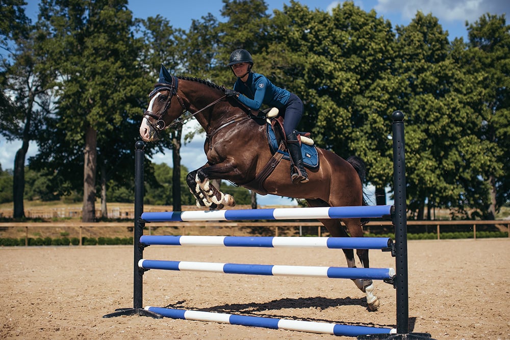 Riding Breeches Elite Equestrian Stockholm Riding Breeches Elite Navy detalle 9