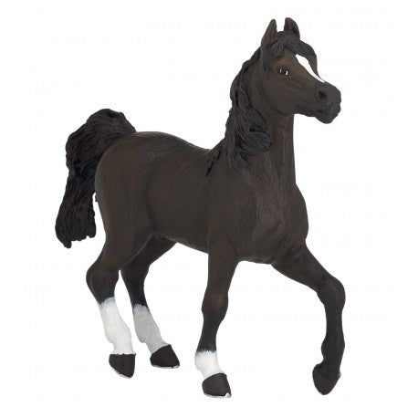 Accesorio ecuestre Caballo árabe - Papo para equitación