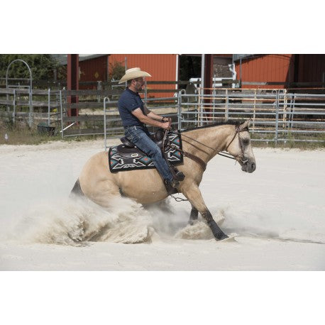 Silla WESTRIDE de - Arvada - Franck Perret