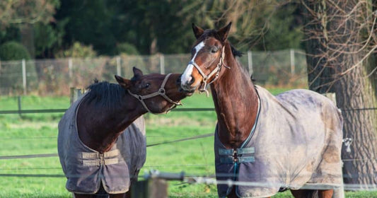 Manta resistente al agua para proteger a tu caballo de la lluvia, Manta para caballo elegante para protegerlo del frío.