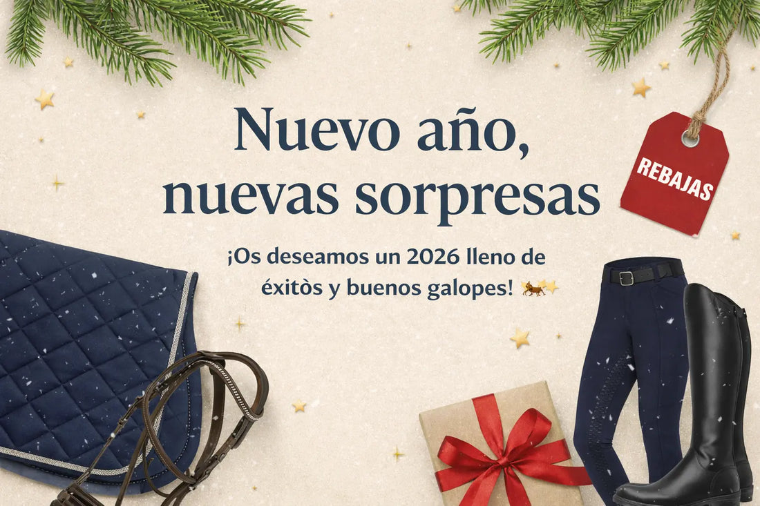 Nuevo año, nuevas sorpresas