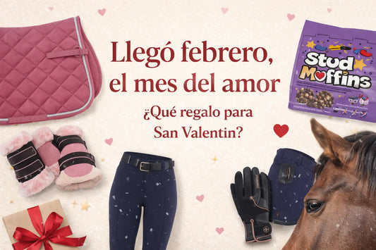 Llegó febrero, el mes del amor