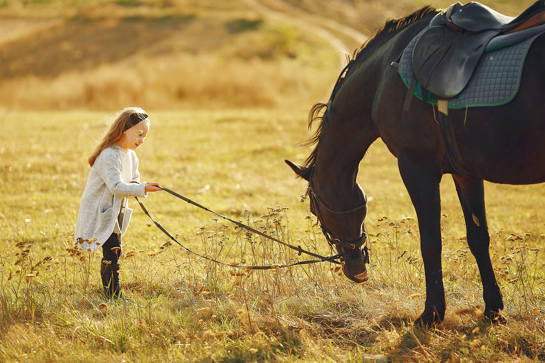 No lleves a tu hijo a montar a caballo sin antes saber esto