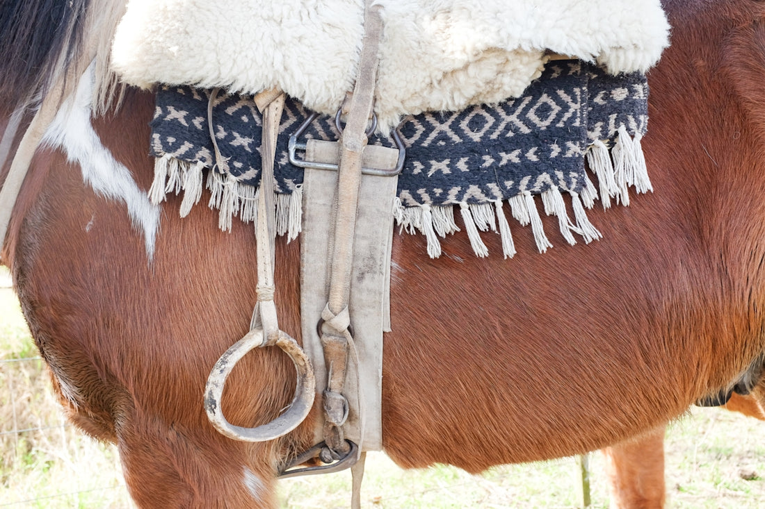 a horse with a rope tied to its neck