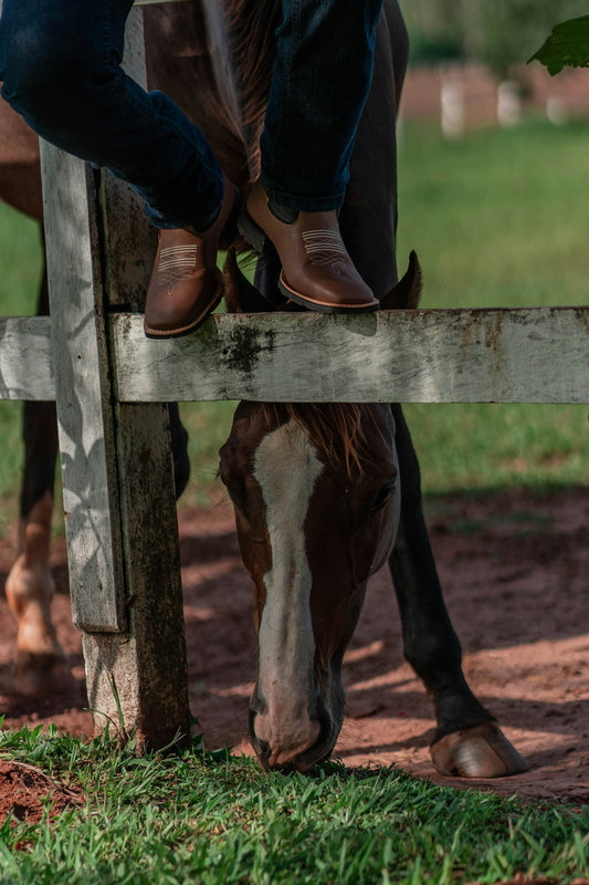 a horse with a person's legs on it's head
