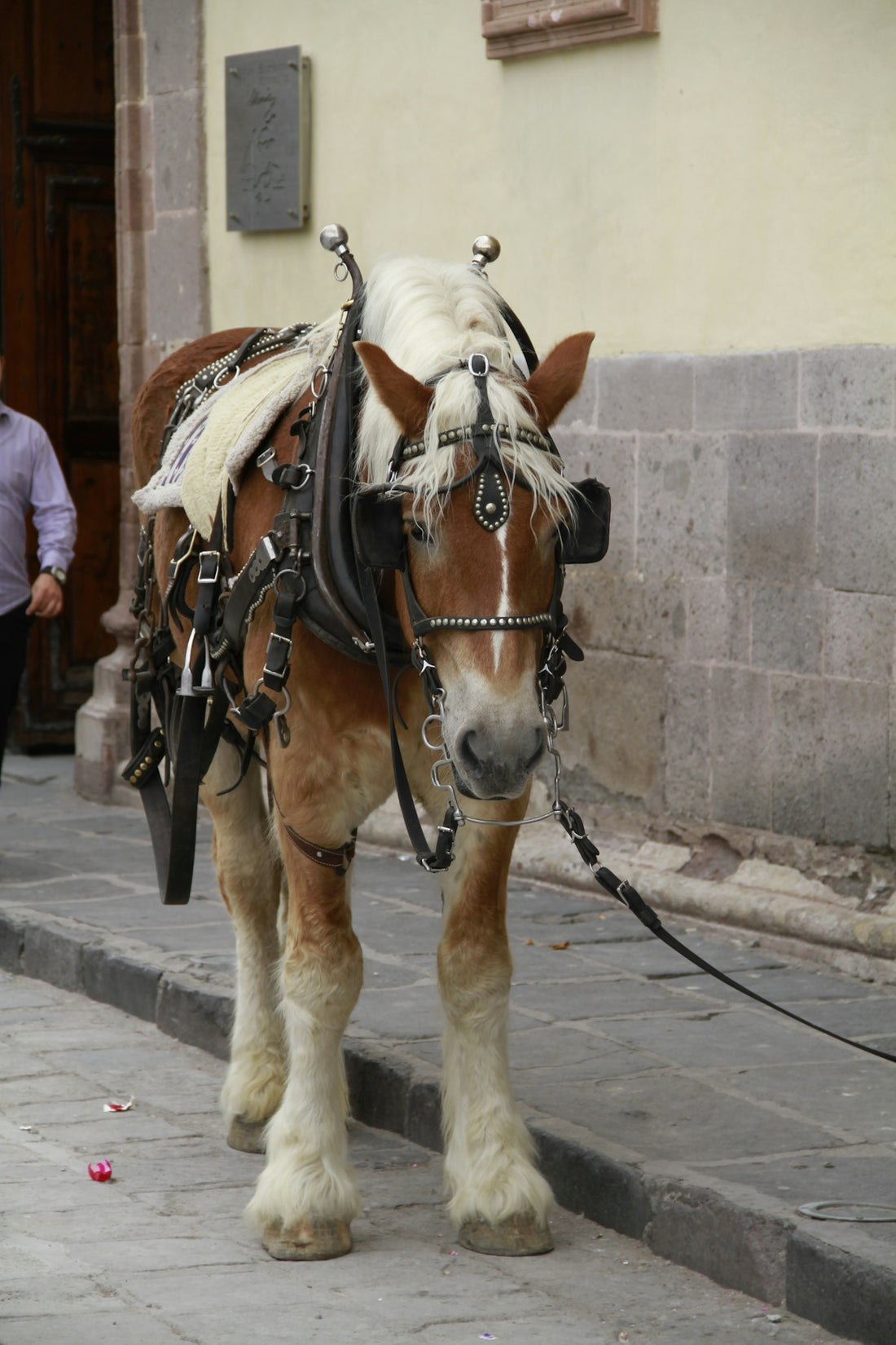 a brown and white horse pulling a carriage down a street