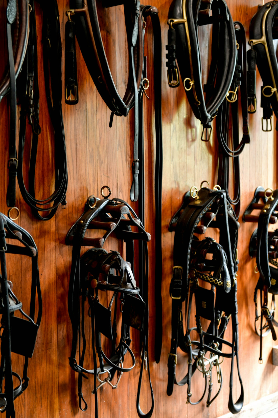a bunch of horse bridles hanging on a wall
