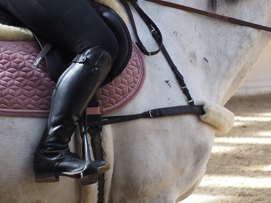 A woman riding on the back of a white horse