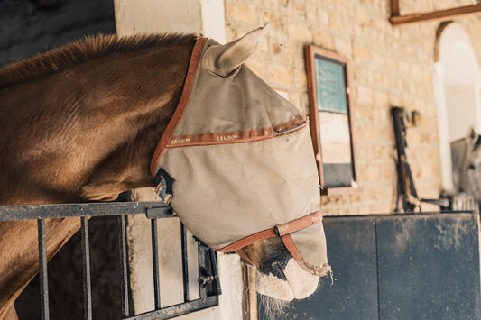 A horse wearing a fly mask in its stall.