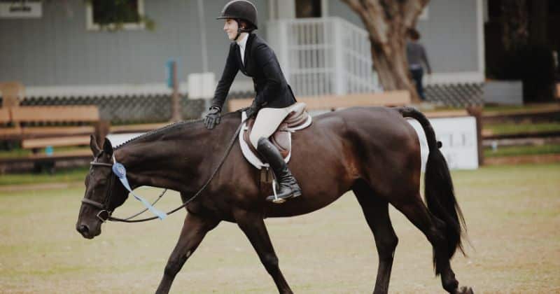 Equipamiento para montar a caballo: Los mejores accesorios.