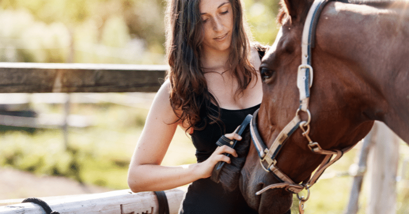 Alimentación Saludable para Caballos: Una Guía Completa, Rutina Diaria de Ejercicios y Aseo para Caballos.