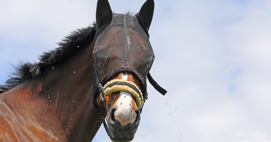 Productos Anti Moscas para Caballos.