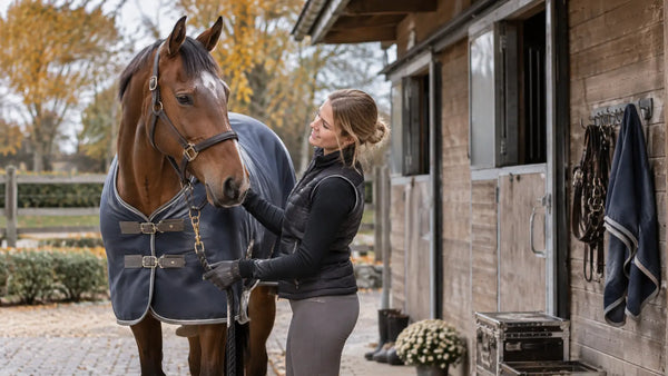 Caballo bayo con manta a la puerta de la cuadra en otoño, sujeto del ramal por una mujer con chaleco negro