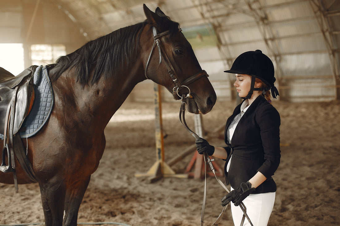 Cómo Mejorar el Rendimiento en Hípica: Entrenamiento y Cuidados para Tu Caballo