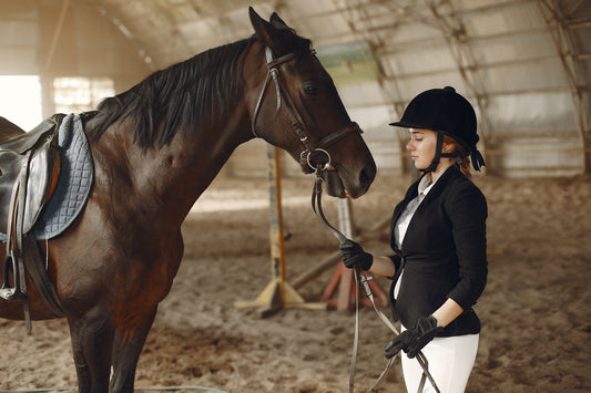 Cómo Mejorar el Rendimiento en Hípica: Entrenamiento y Cuidados para Tu Caballo.