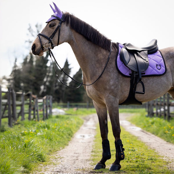 Equipamiento para el Caballo — equipamiento de equitación