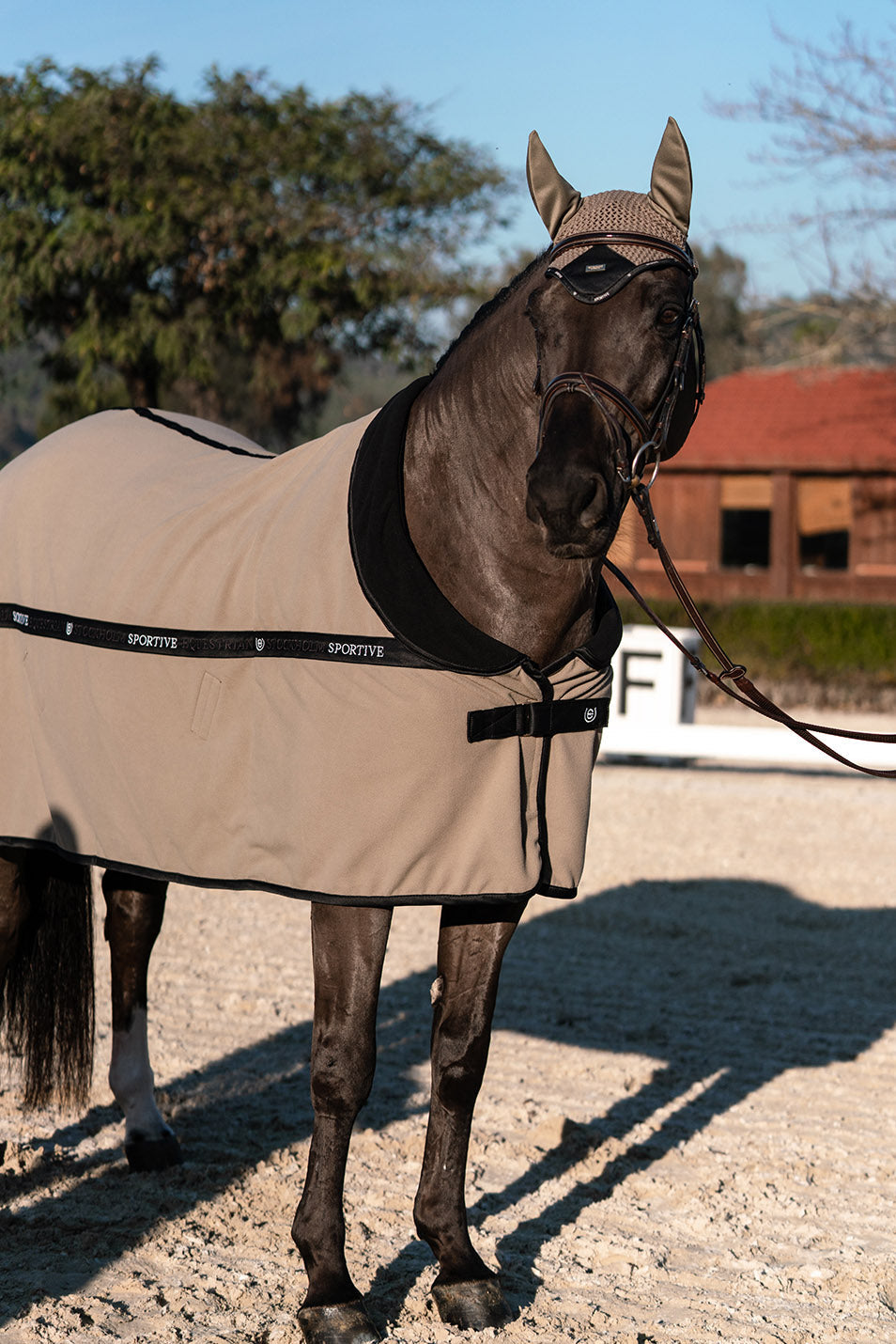 Ear Bonnet Equestrian Stockholm Ear Bonnet Sportive Chantelle detalle 3