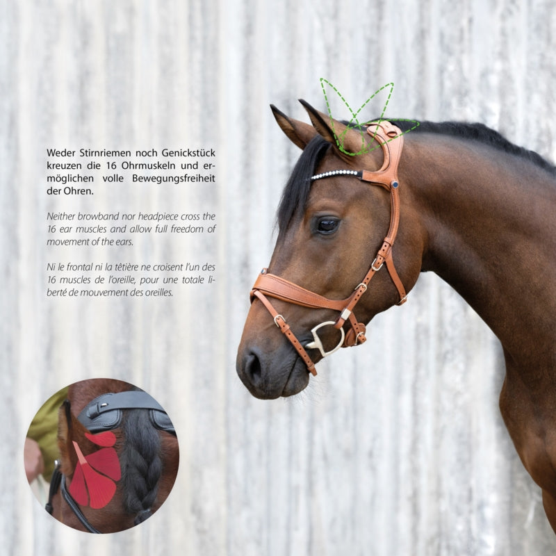Cabezada Stübben Bridle 2505 Freedom II with Slide&Lock Buckles detalle 5