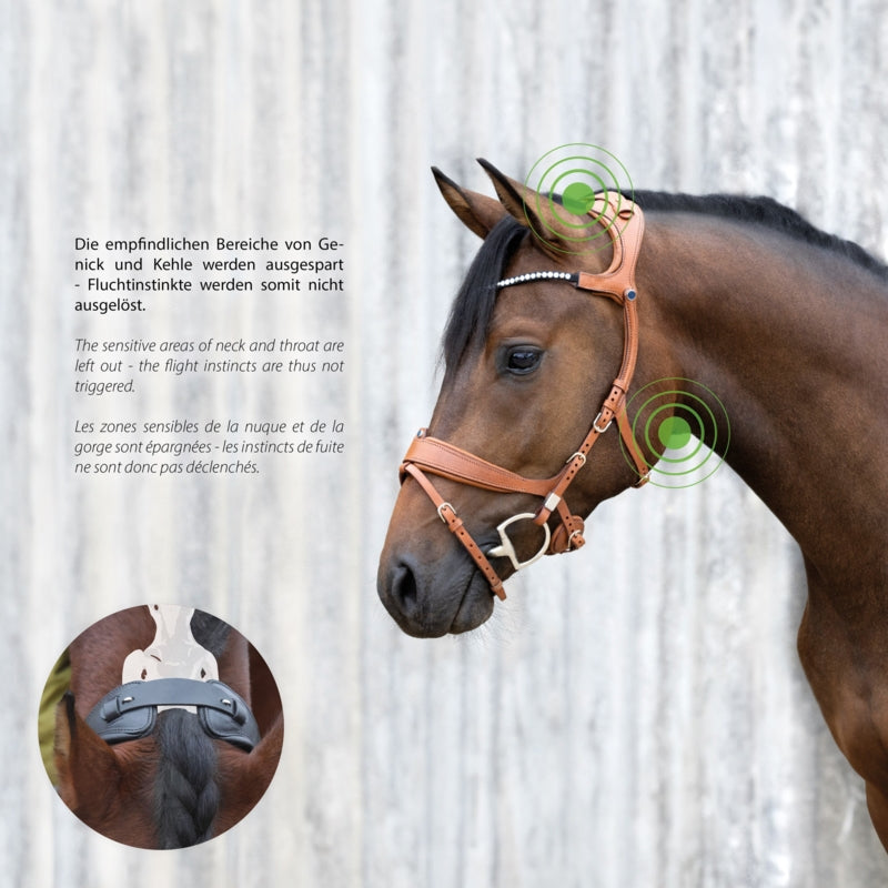 Cabezada Stübben Bridle 2505 Freedom II with Slide&Lock Buckles detalle 6