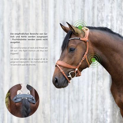 Cabezada Stübben Bridle 2505 Freedom II with Slide&Lock Buckles detalle 6