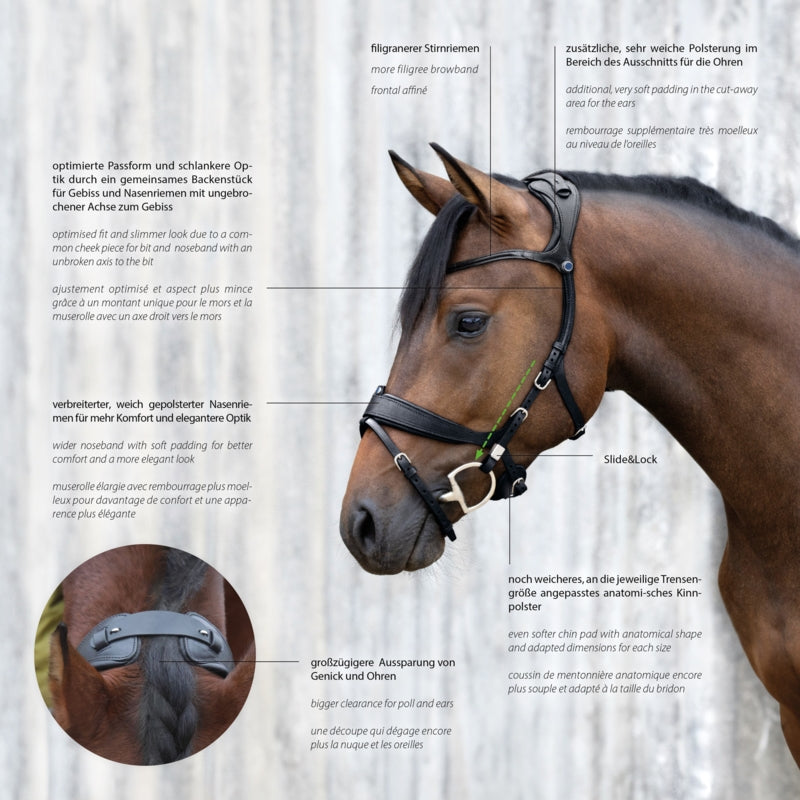 Cabezada Stübben Bridle 2505 Freedom II with Slide&Lock Buckles detalle 7